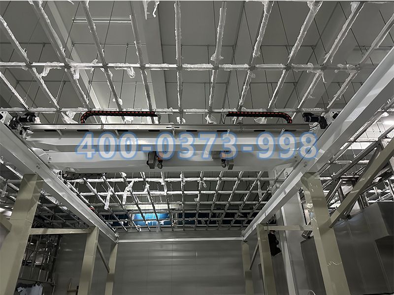 潔凈起重機(jī)