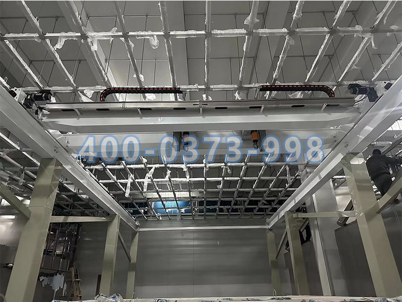 潔凈起重機(jī)